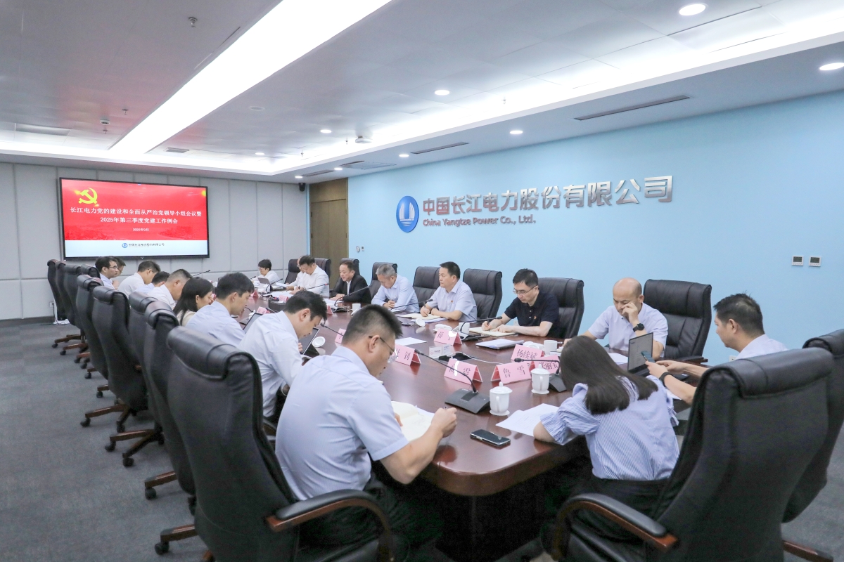 长江电力党委召开党的建设和全面从严治党领导小组会议