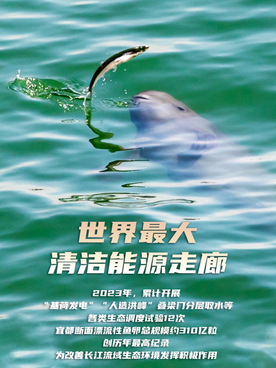 海报3