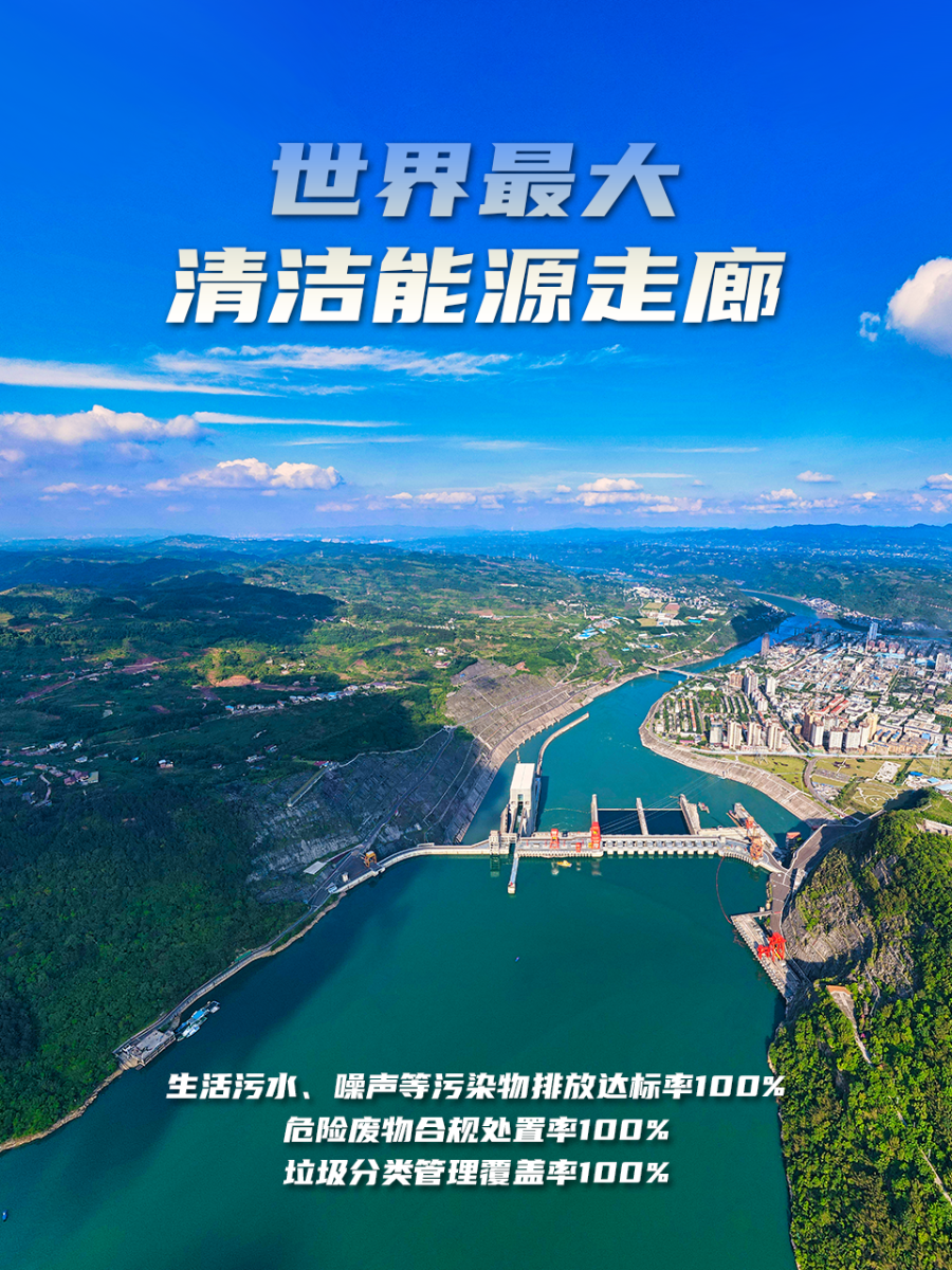海报5