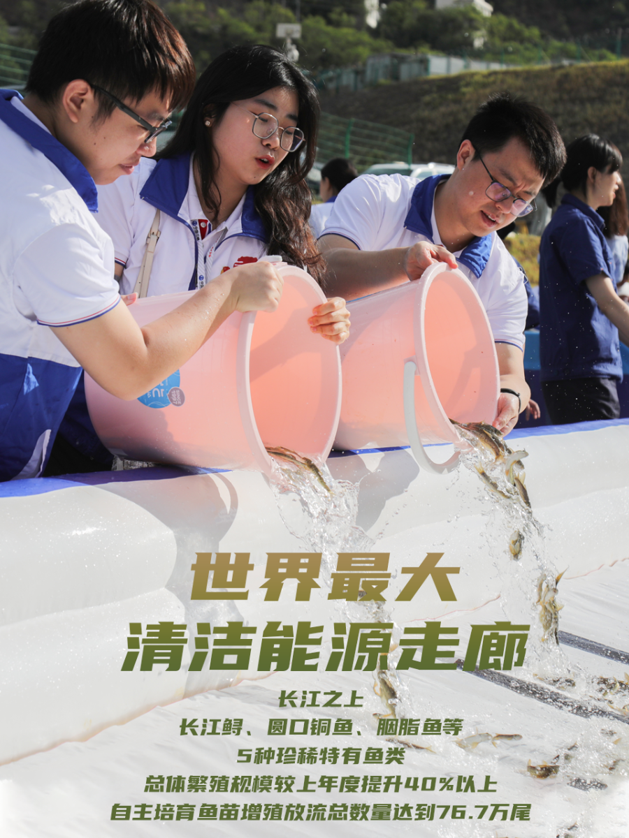 海报9