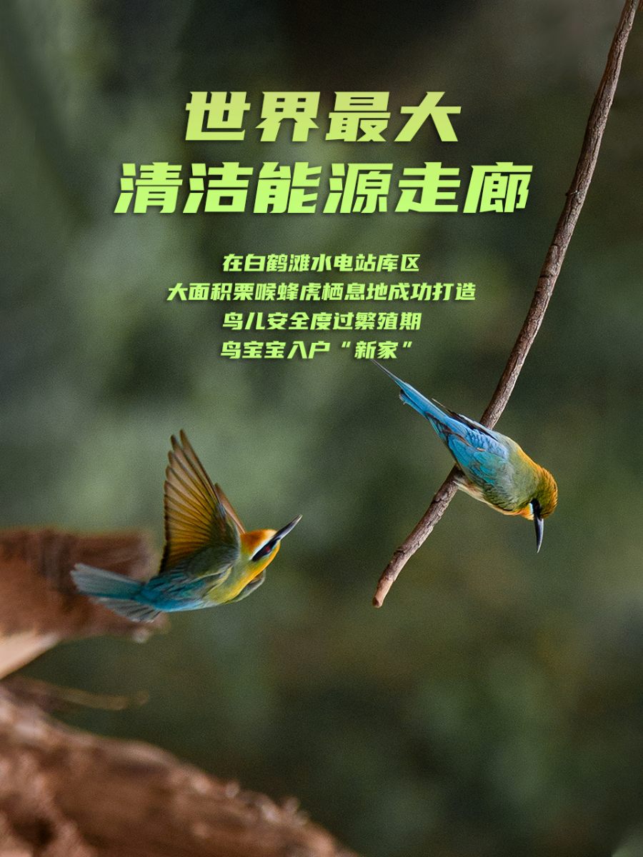 海报10