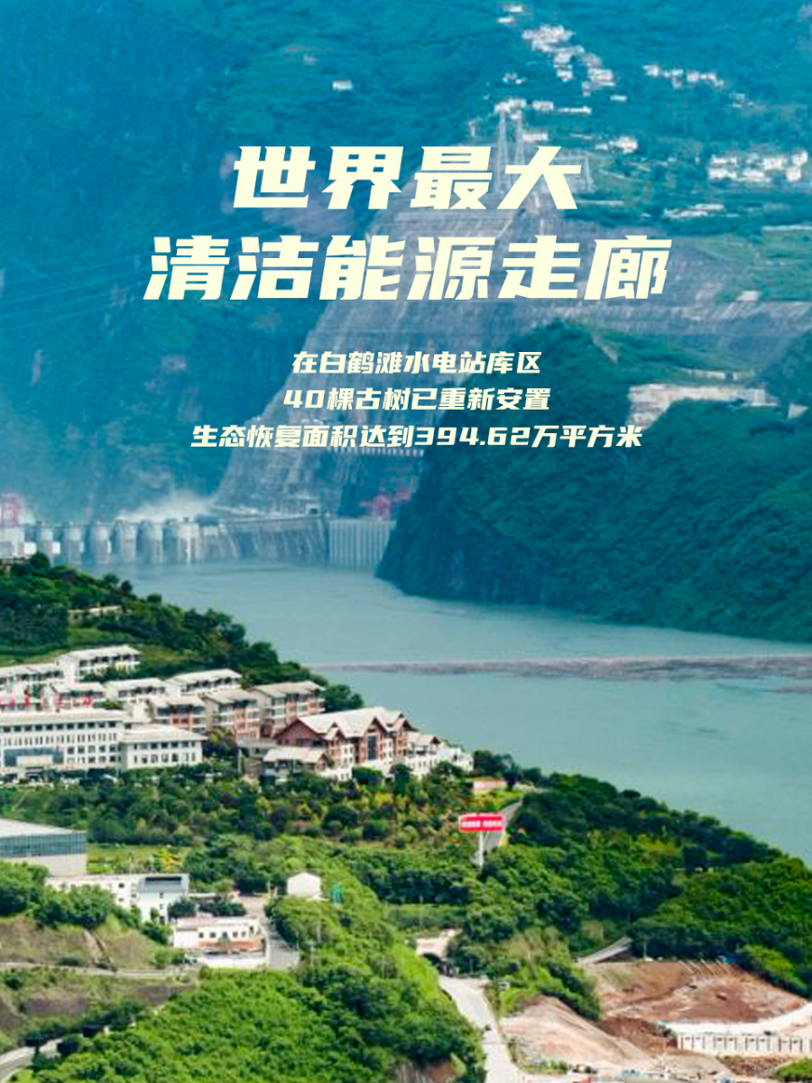海报11