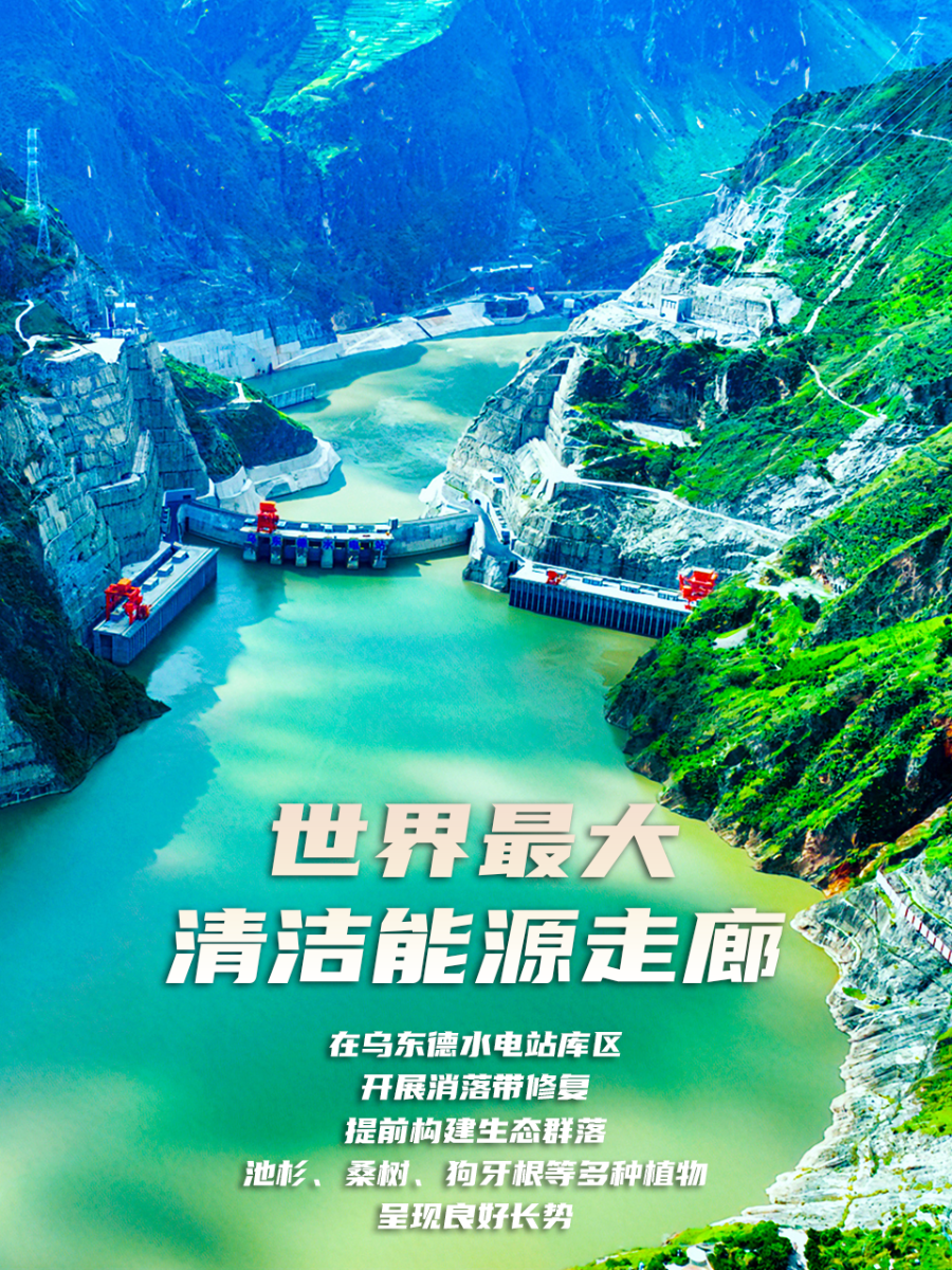 海报12