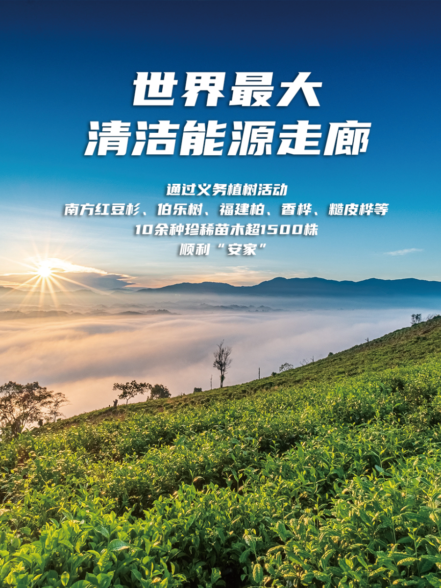 海报13