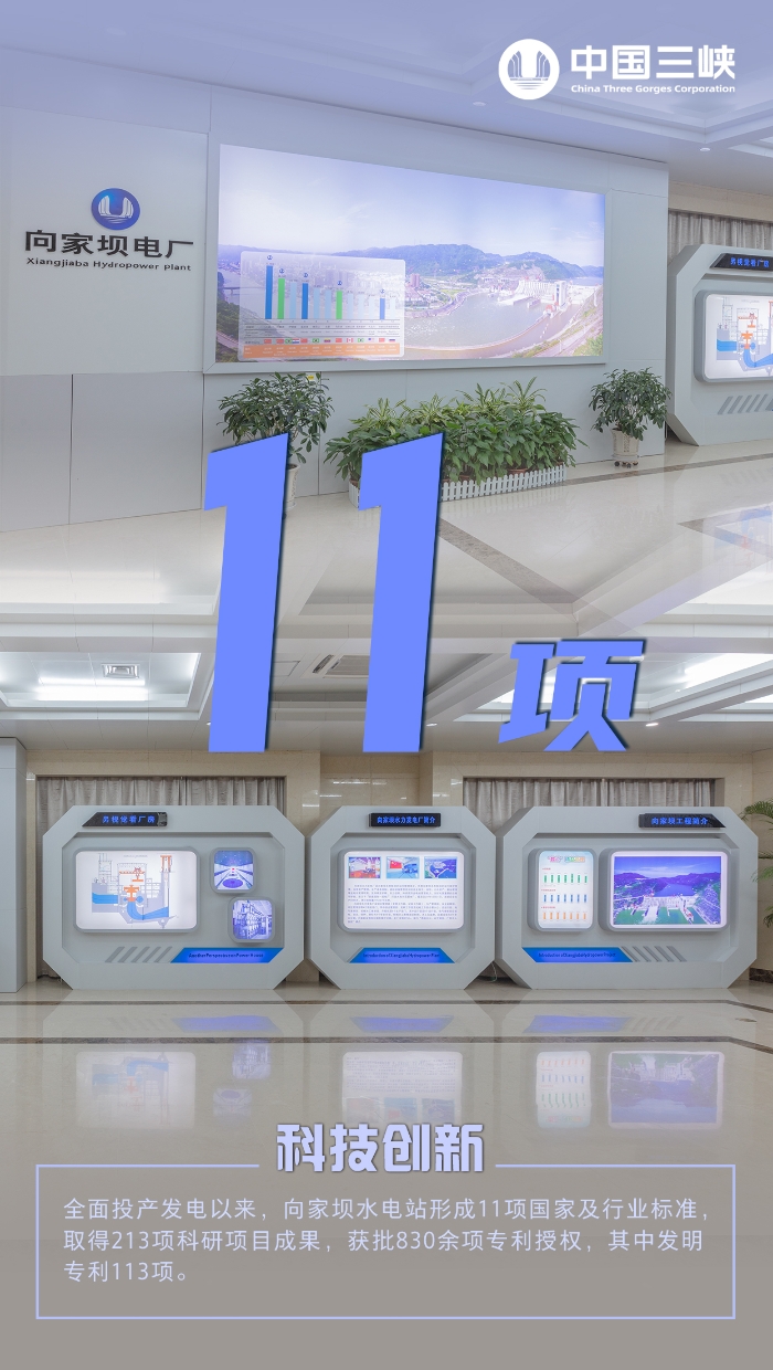 向家坝7