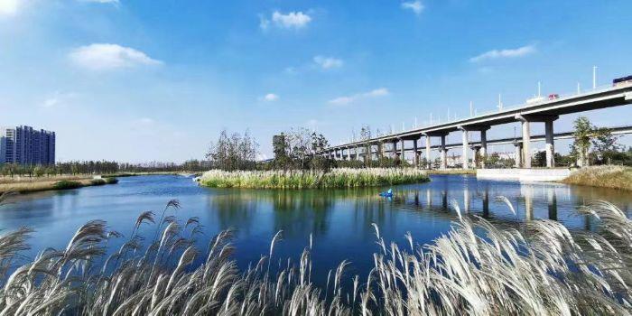 d1f712e5-37e9-45aa-b790-83fe6fbe3f71