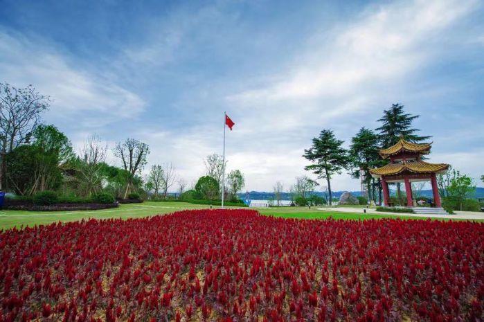 6969eb02-764d-4f24-acc4-36d9da76b467