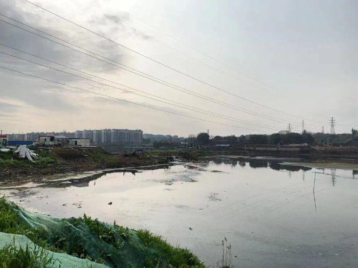 44caa27d-daf9-48c3-a026-9ee052664a5b