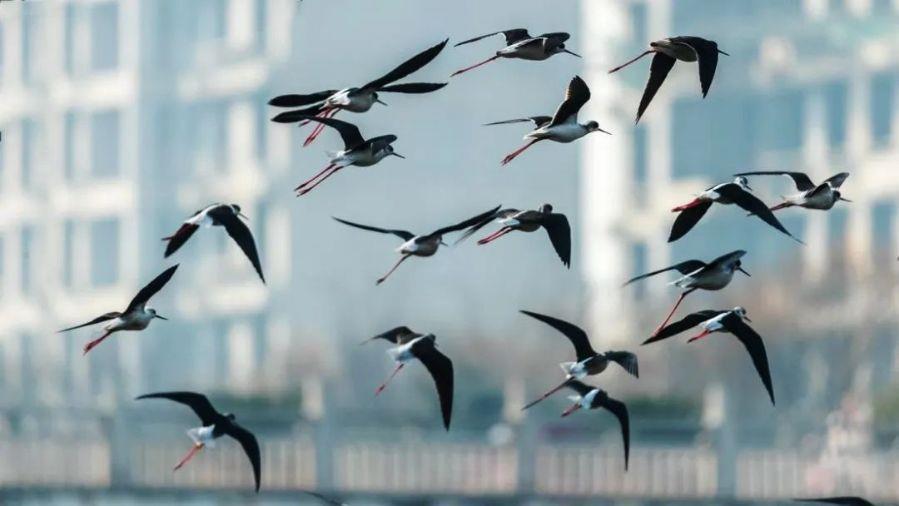 微信图片_20220601100058