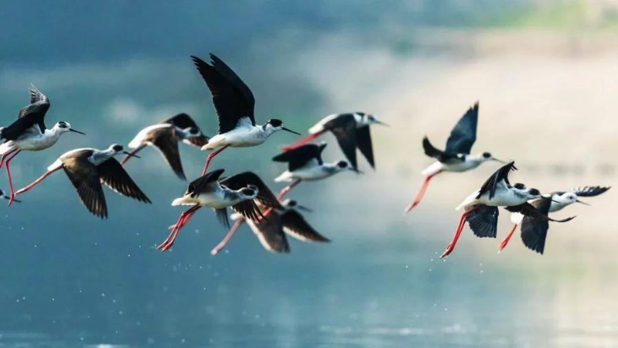 微信图片_20220601100100