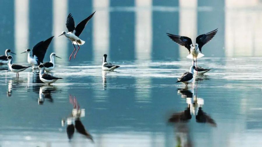 微信图片_20220601100103