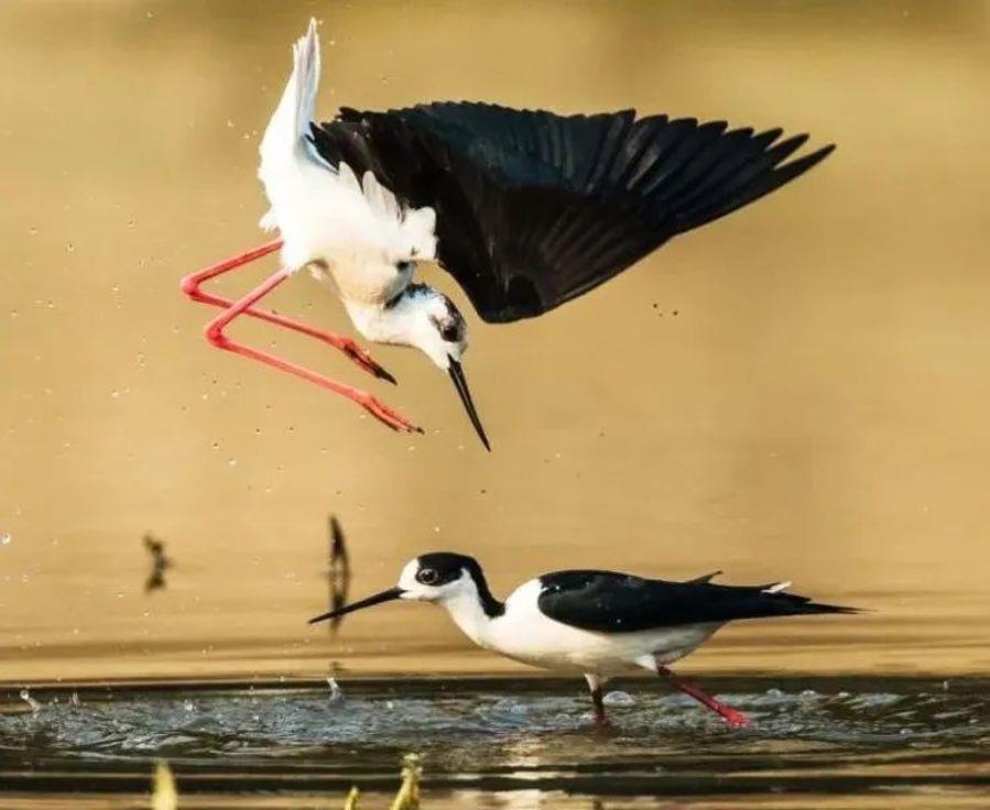 微信图片_20220601100107