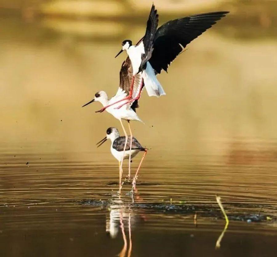 微信图片_20220601100111