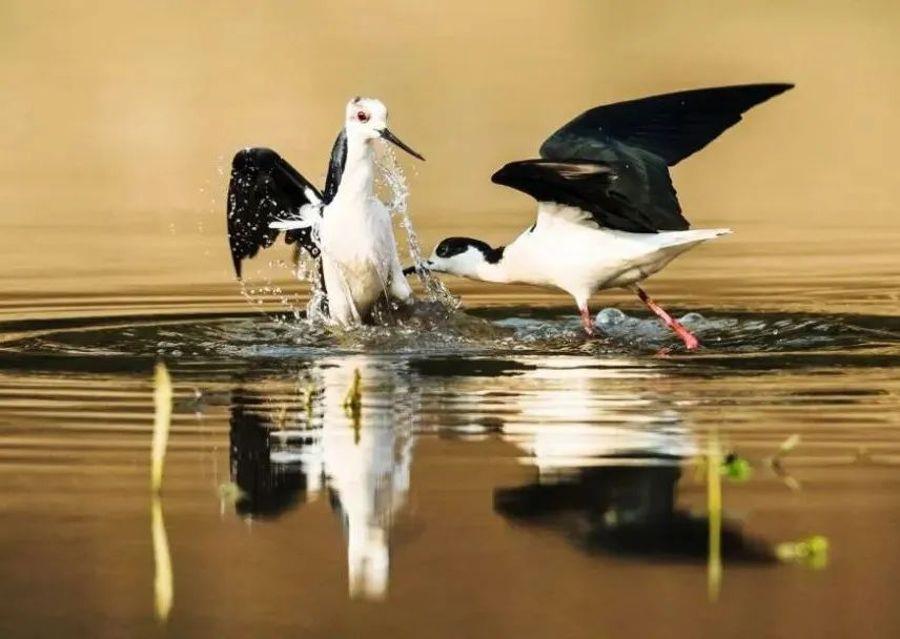 微信图片_20220601100115