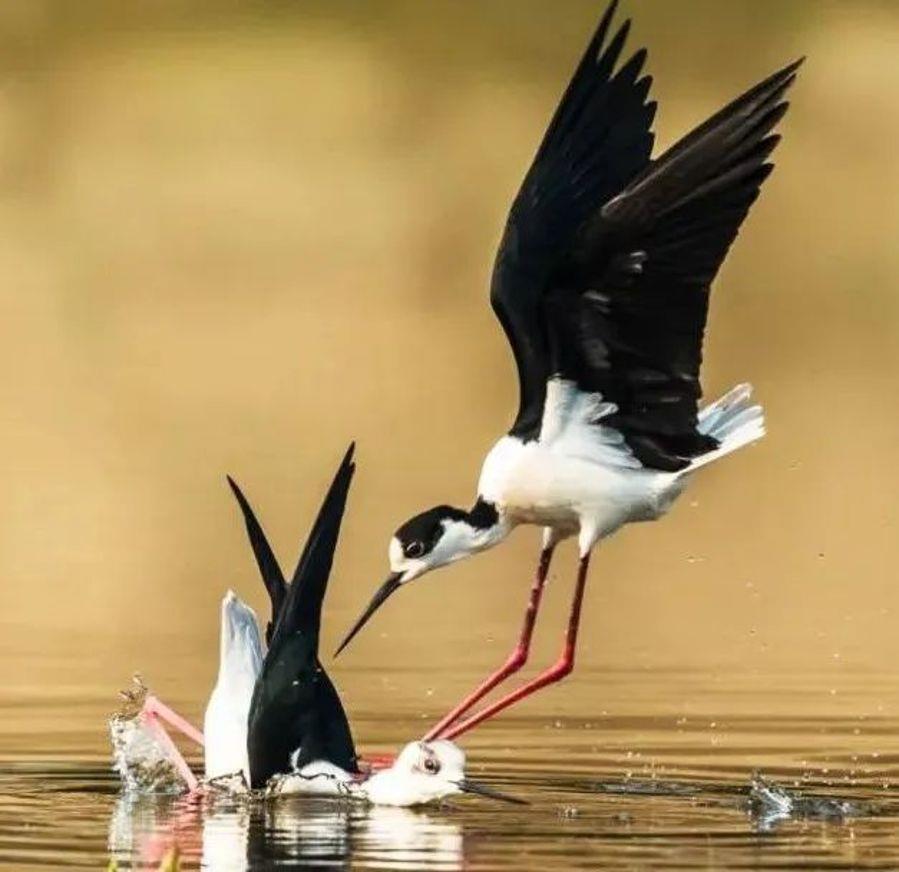 微信图片_20220601100116